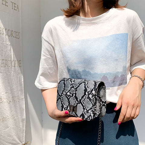 Small Snake Print Flap Shoulder Bag Female PU Leather Chain Crossbody Bags for Women 2019 Luxury Handbags Women Bags Designer